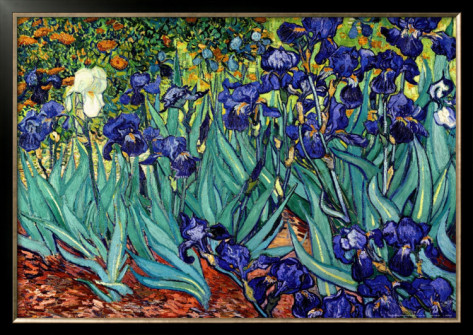 Irises, Saint-Remy - Van Gogh Painting On Canvas